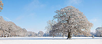 鲸鱼队豪取胜利继续保持不败