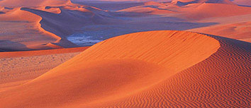 神奇一战，苦战中开拓出新天地，球场上的故事令人感慨